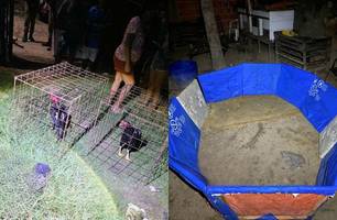 Polícia fecha casa usada para rinha de galo e realiza seis prisões em Luís Correia (Foto: Reprodução/Plantão Parnaíba 24 horas)