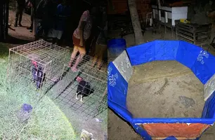 Polícia fecha casa usada para rinha de galo e realiza seis prisões em Luís Correia (Foto: Reprodução/Plantão Parnaíba 24 horas)