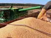 Choveu pouco, colheu menos: safra do Piauí deve cair 12,5%