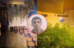 Saiba quem é o advogado preso com estufas de maconha na zona rural de Teresina (Foto: Conecta Piauí)