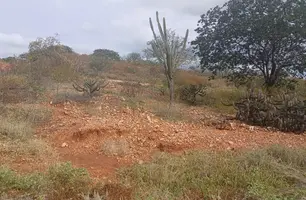 Semarh identifica seca verde em 127 municípios piauienses (Foto: Ascom/Semarh)