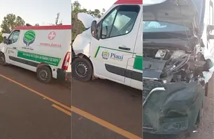 Ambulância colide com cavalo solto na PI-320 entre Jatobá do Piauí e Campo Maior (Foto: Reprodução)