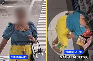 'Amostradinhos': Havan publica vídeos de furtos e destaca caso em Teresina (Foto: Reprodução/Redes Sociais)