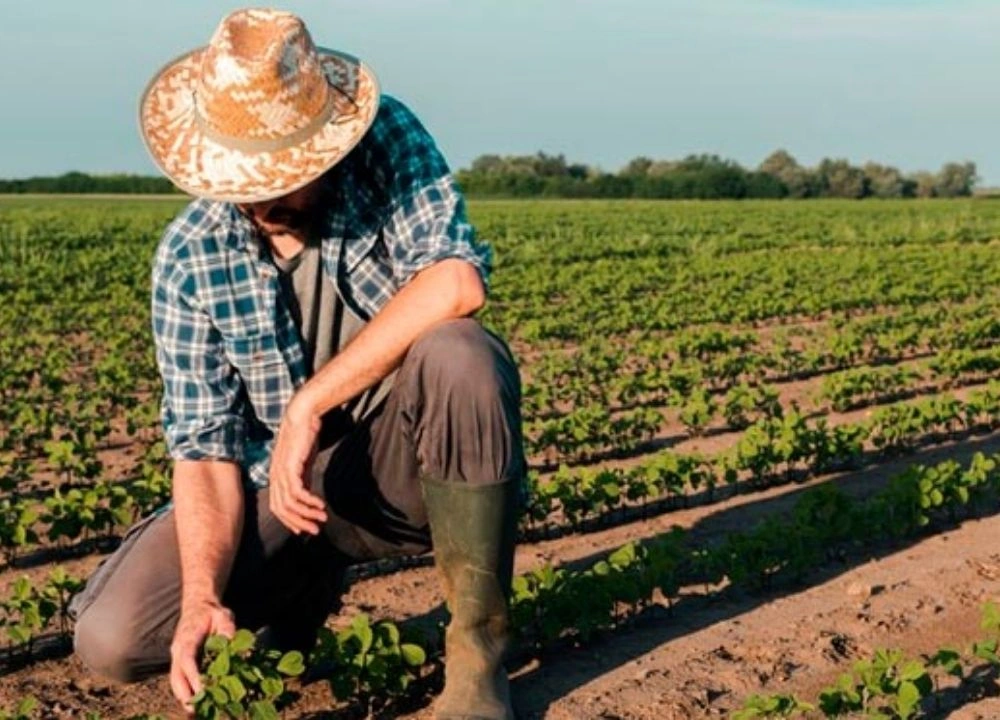 Convênio com a RFB fortalece arrecadação do ITR e a gestão territorial nos municípios