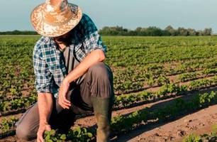 Convênio com a RFB fortalece arrecadação do ITR e a gestão territorial nos municípios (Foto: Reprodução) Convênio com a RFB fortalece arrecadação do ITR e a gestão territorial nos municípios (Foto: Reprodução)