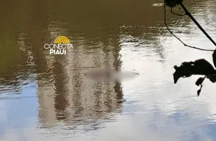 Corpo é encontrado boiando no Rio Poti próximo ao Parque Potycabana, em Teresina (Foto: Reprodução)