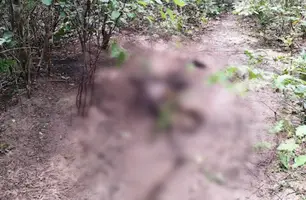 Corpo em decomposição é encontrado dentro de matagal na zona Rural de Cocal (Foto: Divulgação)