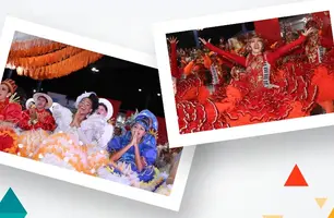 Demerval Lobão lança editais da Política Nacional Aldir Blanc na quinta-feira (11) (Foto: Reprodução)