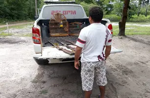 Dono de bar de reggae é preso com arma e pássaros silvestres no Norte do Piauí (Foto: Divulgação/PMPI)