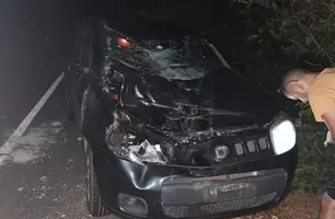 Família sobrevive a colisão com animal na pista entre Teresina e Castelo do Piauí (Foto: Reprodução)