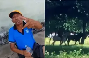 Homem morre após ser pisoteado por cavalos na zona Norte de Teresina (Foto: TV Meio)