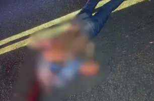 Idoso colide moto contra animal e tem cabeça esmagada por ônibus em Beneditinos (Foto: Reprodução)