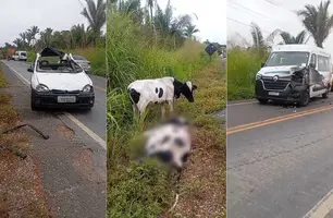 Motorista fica ferido após ter carro ‘esmagado’ por boi entre Teresina e Nazária (Foto: Reprodução)