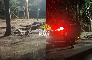 Mulher é encontrada morta em praça na zona Sul de Teresina (Foto: Reprodução)