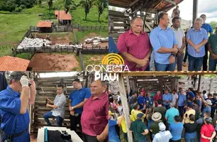 Município de Porto integra o programa ‘Piauí Mais Genética’, coordenado pela SADA (Foto: James Rodrigues/Conecta Piauí)