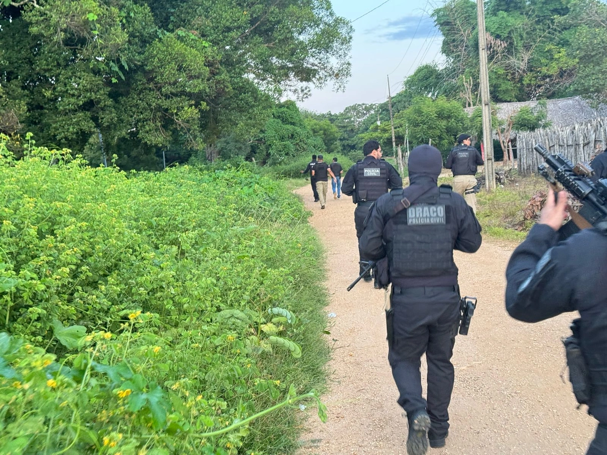 Operação DRACO 203