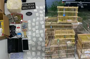 PM apreende drogas, armas e animais silvestres durante operação em Lagoa do Barro (Foto: Divulgação/PMPI)