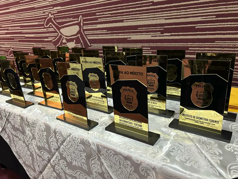 Polícia Civil do Piauí homenageia servidores com medalhas e troféus em Teresina