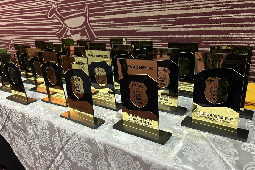 Polícia Civil do Piauí homenageia servidores com medalhas e troféus em Teresina