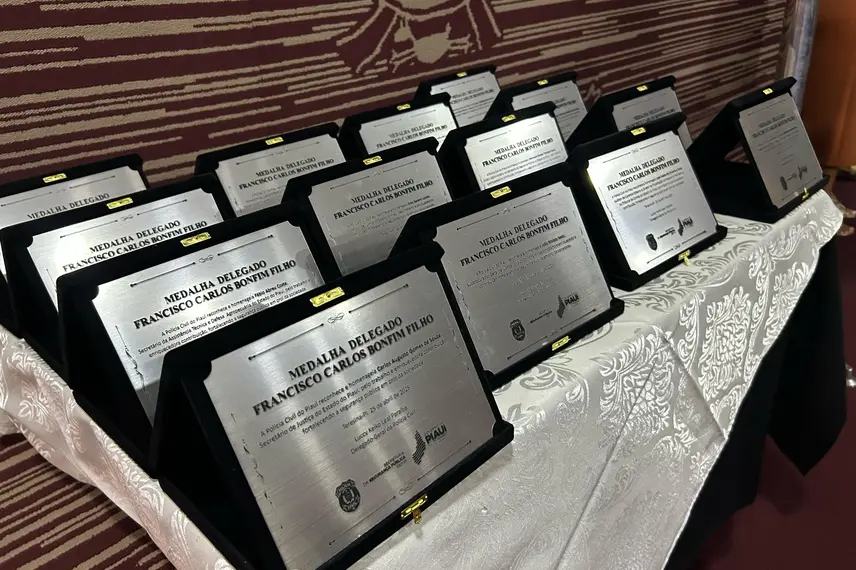 Polícia Civil do Piauí homenageia servidores com medalhas e troféus em Teresina