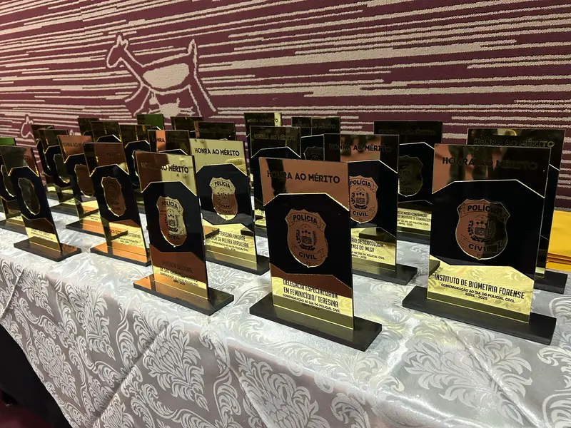 Polícia Civil do Piauí homenageia servidores com medalhas e troféus em Teresina