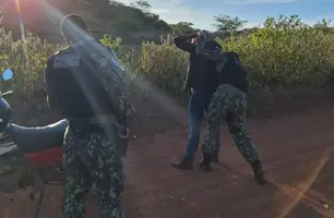 Polícia Militar flagra caça ilegal de tatu-peba na zona rural de João Costa (Foto: Divulgação/PMPI)