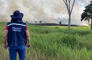 Prefeitura de Água Branca divulga lista de convocação para Fiscal Ambiental (Foto: Reprodução) Prefeitura de Água Branca divulga lista de convocação para Fiscal Ambiental (Foto: Reprodução)
