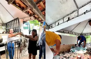 Prefeitura de Altos distribui três toneladas de peixes na Semana Santa (Foto: Reprodução)