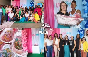 Prefeitura de Eliseu Martins realiza encontro com gestantes pelo 'Criança Feliz' (Foto: Reprodução)