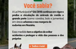 Prefeitura de Nazária reforça campanha de conscientização sobre animais soltos em vias públicas (Foto: Divulgação)