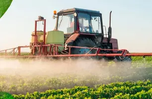 Produtores de Geminiano terão reunião com Banco do Nordeste nos dias 14 e 15 (Foto: Reprodução)
