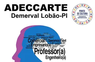 Segundo Balaio Profissional orienta estudantes em Demerval Lobão (Foto: Reprodução)