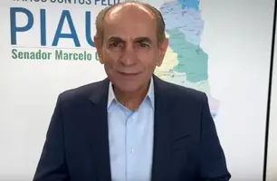 Senador Marcelo Castro (Foto: Reprodução)