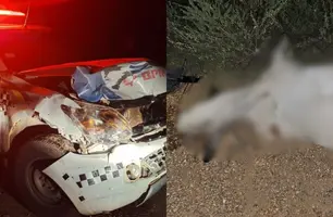 Viatura da PM fica destruída após colidir contra vaca em Alagoinha do Piauí (Foto: Reprodução/Cidadesnanet)