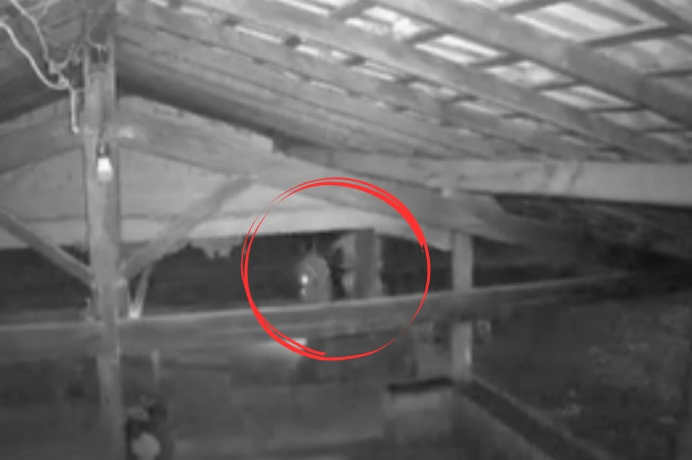 Vídeo mostra adolescente sendo assassinado com tiro na cabeça em Luzilândia