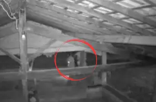 Vídeo mostra adolescente sendo assassinado com tiro na cabeça em Luzilândia (Foto: Reprodução)
