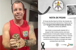 1º Sargento David Bernardes de Castro (Foto: Reprodução)