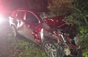 Acidente com animal de grande porte deixa veículo destruído em José de Freitas (Foto: Reprodução)