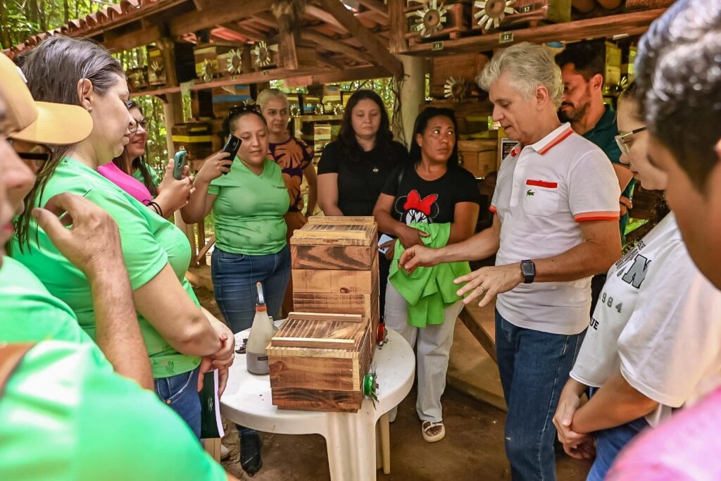 Agricultoras de Jacobina aprendem sobre meliponicultura em intercâmbio na capital