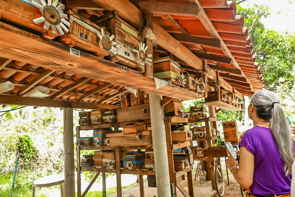 Agricultoras de Jacobina aprendem sobre meliponicultura em intercâmbio na capital