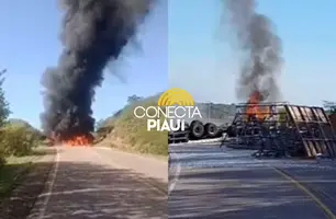 Caminhão tomba e pega fogo na BR-020, no Sul do Piauí; passageiro morreu (Foto: Reprodução)