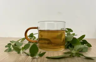 Chá (Foto: Maria Clara César/ Conecta Piauí)