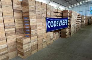 Codevasf entrega 10 mil colmeias e projeta 500 toneladas de mel por ano no Piauí (Foto: Reprodução) Codevasf entrega 10 mil colmeias e projeta 500 toneladas de mel por ano no Piauí (Foto: Reprodução)