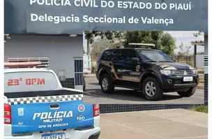 Condenado a 30 anos por homicídio em SP é preso no interior do Piauí (Foto: Reprodução)