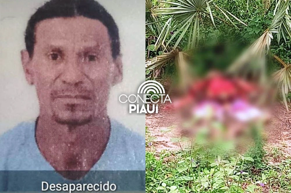 Corpo de homem que estava desaparecido é encontrado em decomposição no Piauí
