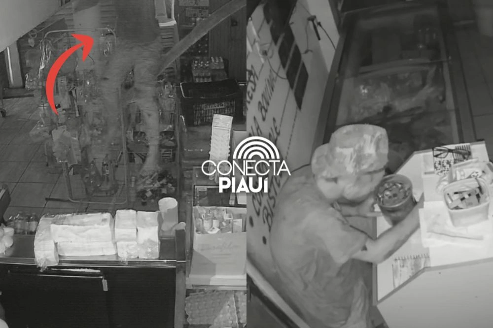 Criminoso invade mercadinho pelo teto e furta dinheiro e objetos em Teresina