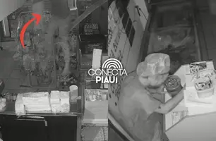 Criminoso invade mercadinho pelo teto e furta dinheiro e objetos em Teresina (Foto: Reprodução)
