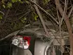 Empresário perde controle e capota carro na PI-243, entre Jaicós e Belém do Piauí