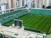 Goiás x Avaí: confira o horário e onde assistir ao jogo da Série B