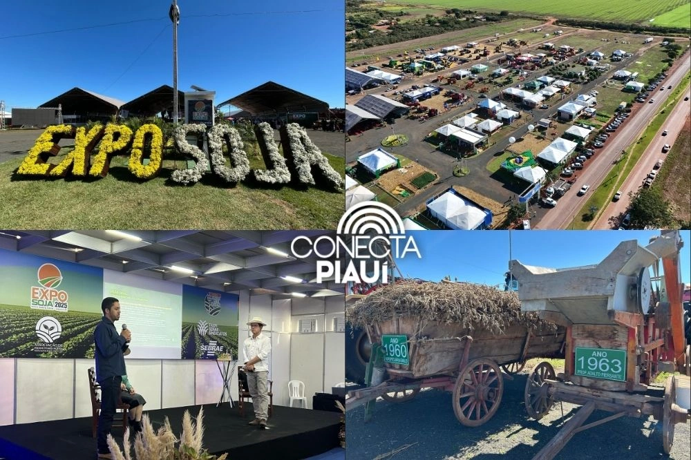 Expo Soja 2025 destaca força do agronegócio no Cerrado Piauiense